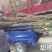 阳丰甜柿子树苗80~100cm