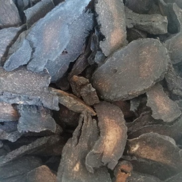 批发泡酒原料大芸大芸片中药材批发大芸肉丛蓉承接大货