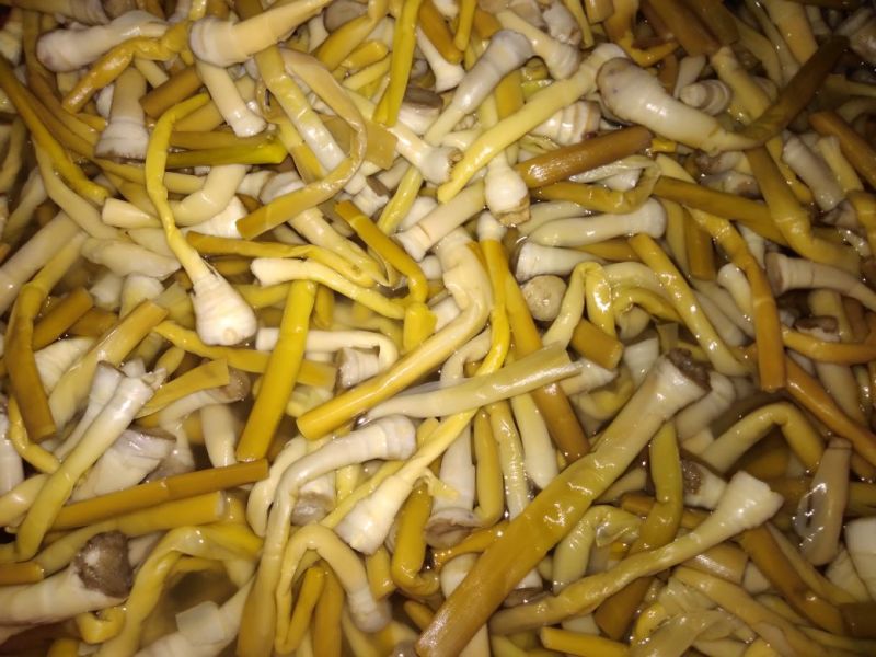 {牛商}沅江芦笋7cm以上大量上货，欢迎来电