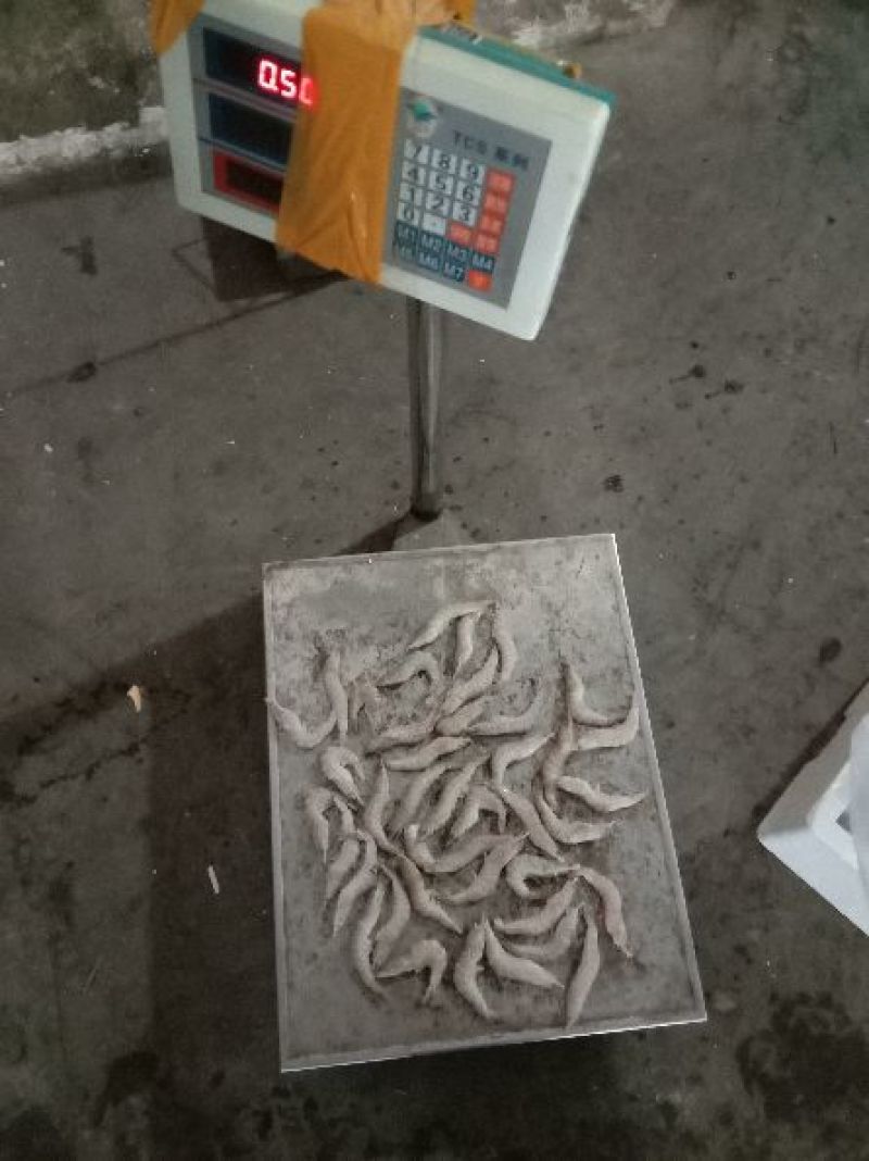 青虾