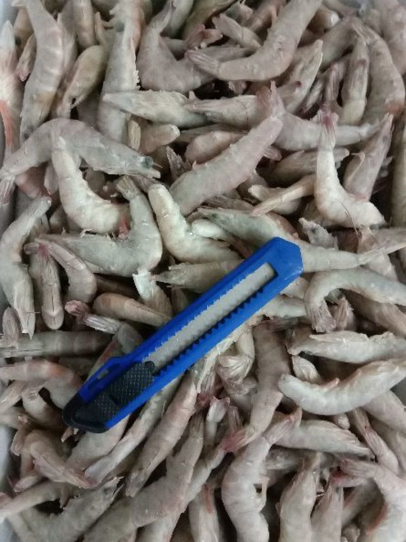 青虾