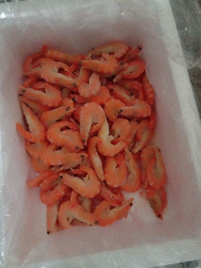 红虾食用冻虾