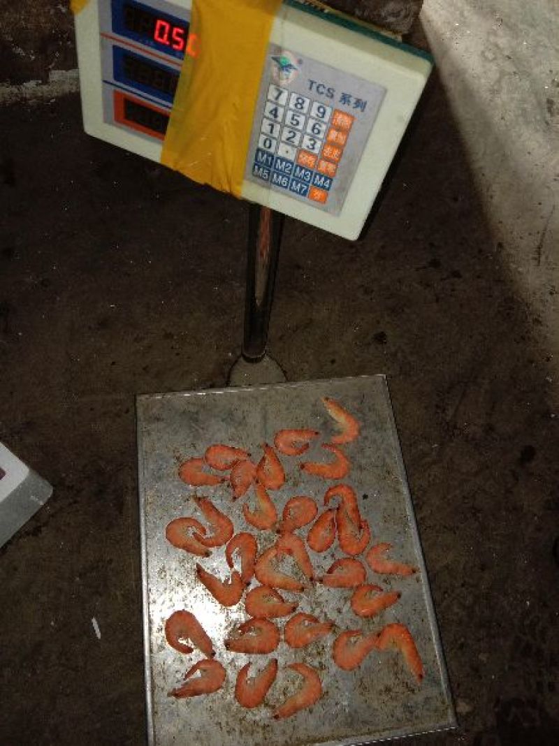红虾食用冻虾