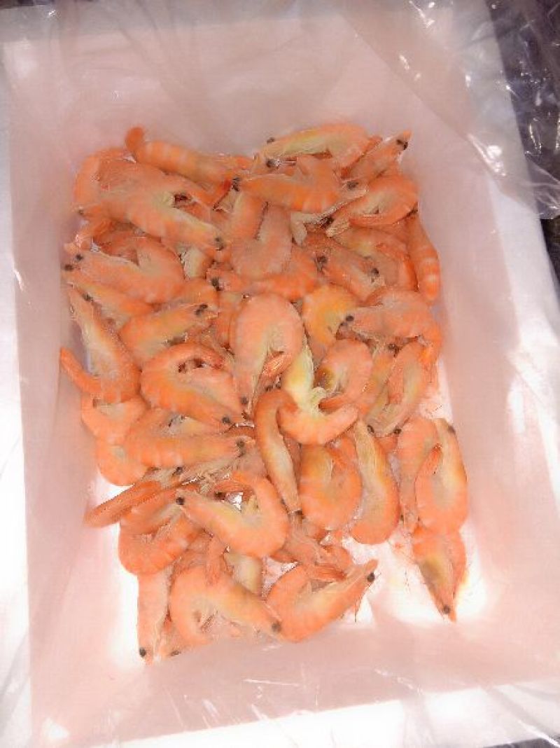 红虾食用冻虾
