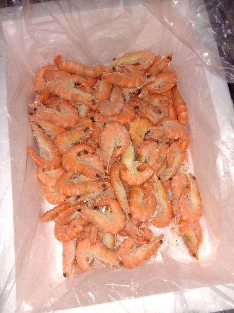 红虾食用冻虾