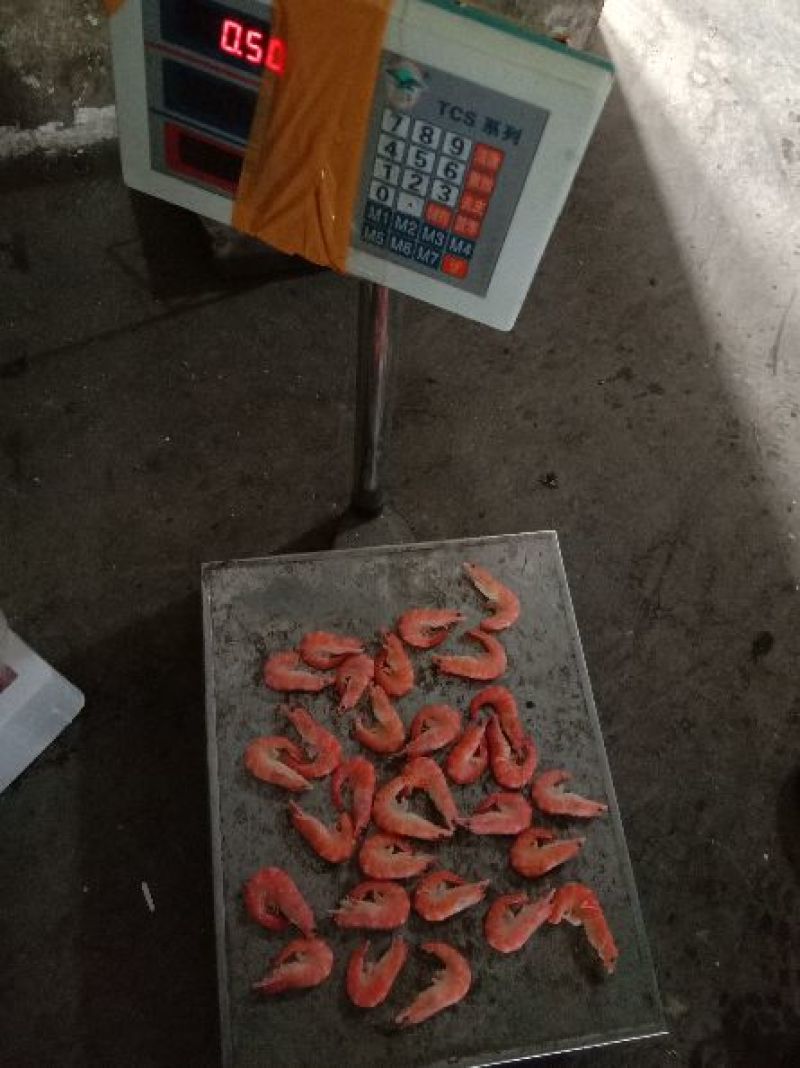 红虾食用冻虾