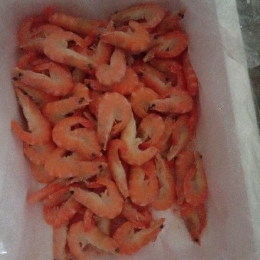 红虾食用冻虾