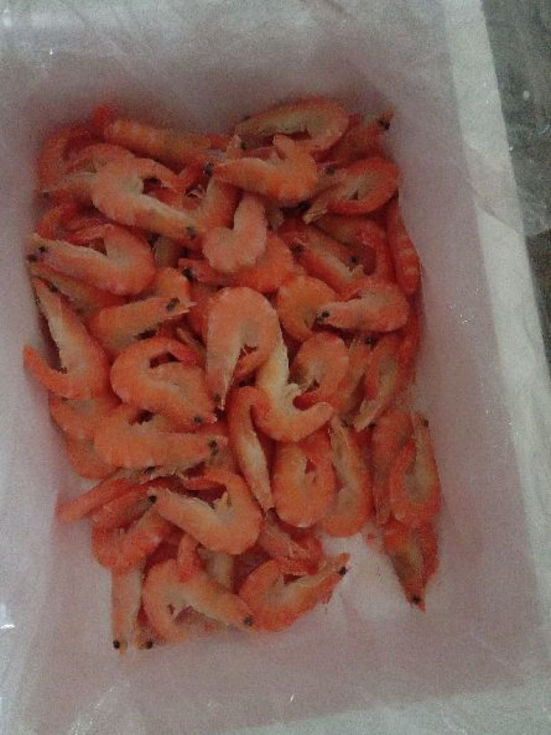 红虾食用冻虾