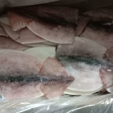 鱿鱼食用冰冻