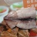 鱿鱼食用冰冻