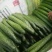 密刺黄瓜鲜花带刺22~25公分