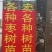 【诚信商家】枣树苗冬枣苗金丝枣苗基地直供现挖现发