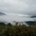 野生石蜂蜜文山老君山野生崖蜂蜜