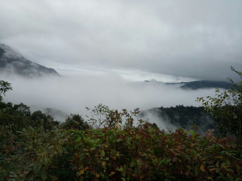 野生石蜂蜜文山老君山野生崖蜂蜜