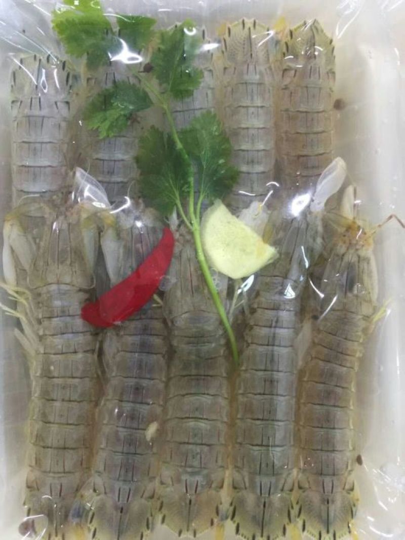 皮皮虾冻虾