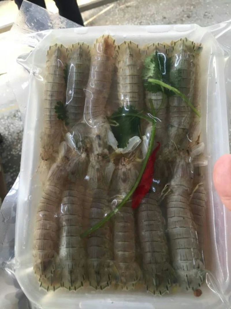 皮皮虾冻虾