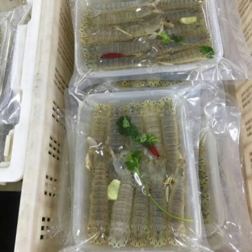 皮皮虾冻虾
