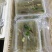 皮皮虾冻虾
