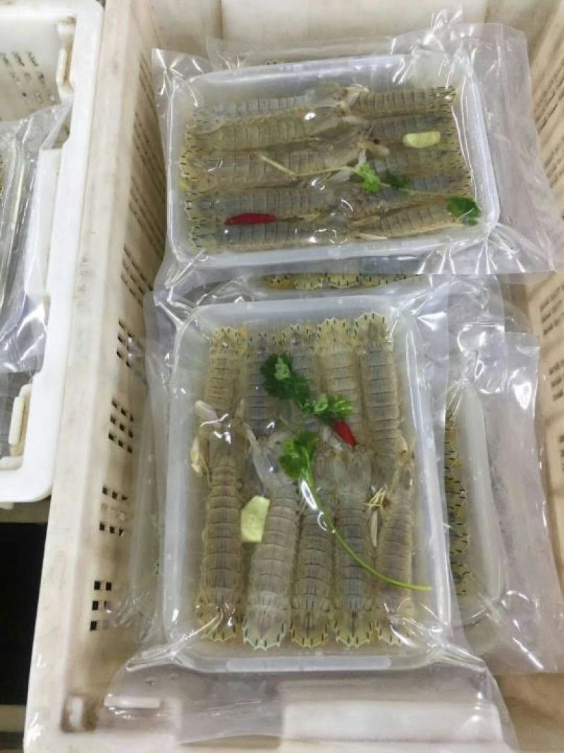 皮皮虾冻虾