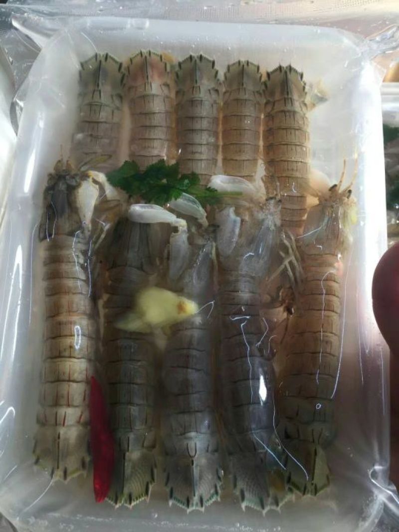 皮皮虾冻虾