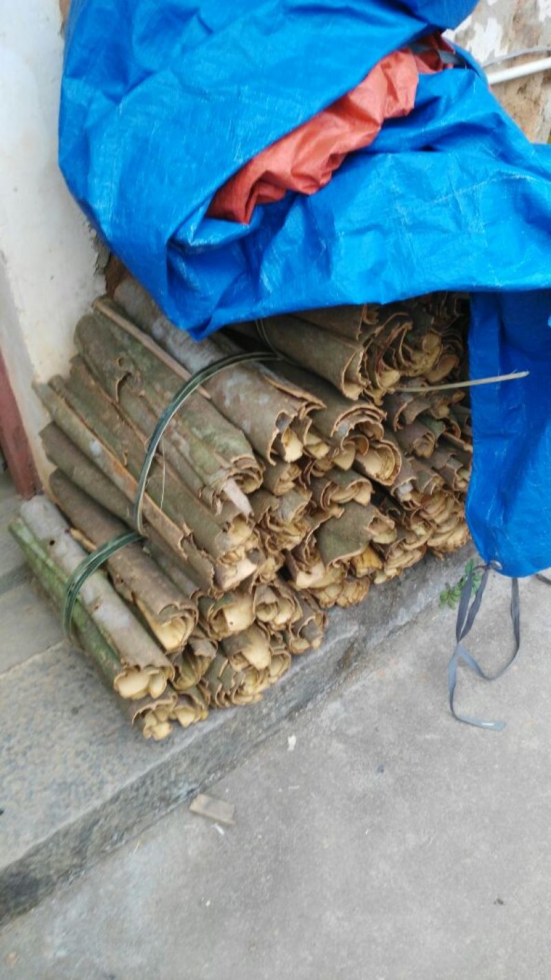 桂皮散装中通
