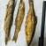 火焙鱼稻谷香味