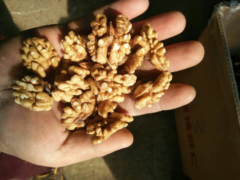 新疆核桃仁一二三路尖白普白黄仁黑仁都有，自己加工