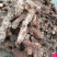 四川云南野生鲜土茯苓红白肉变色龙单个半斤起大量批发