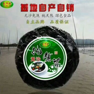 紫菜海南野生紫菜