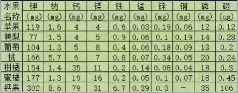钙果苗30~50cm2年