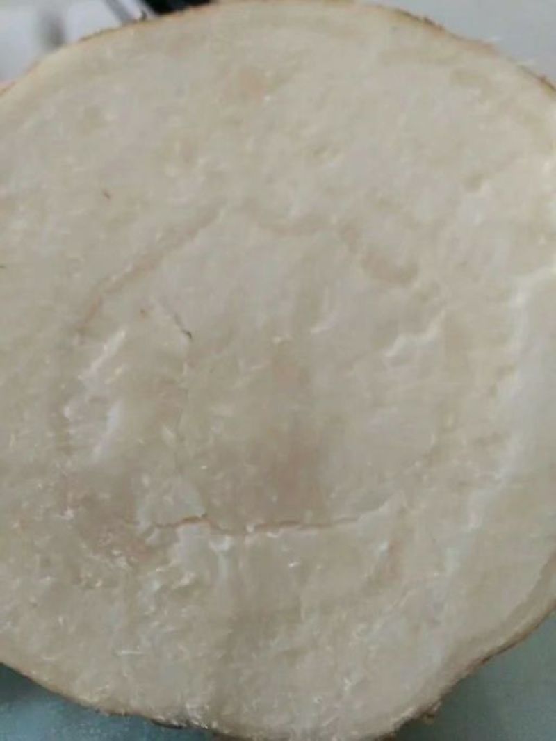 粉葛