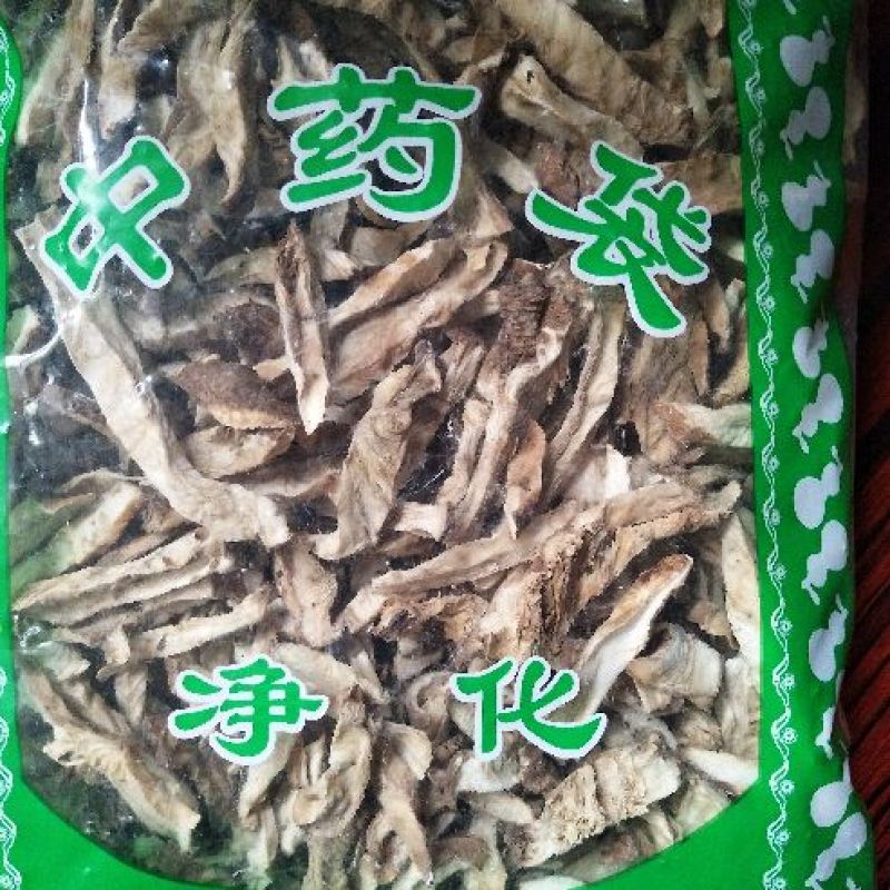 菊苣根