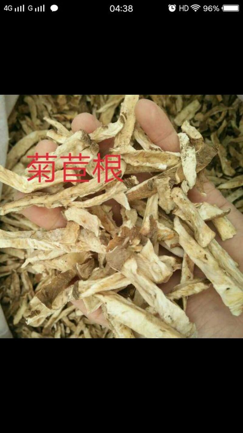 黄芪土黄芪又叫棉花根