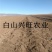 树莓苗双季树莓苗基地直供树莓苗批发树莓苗