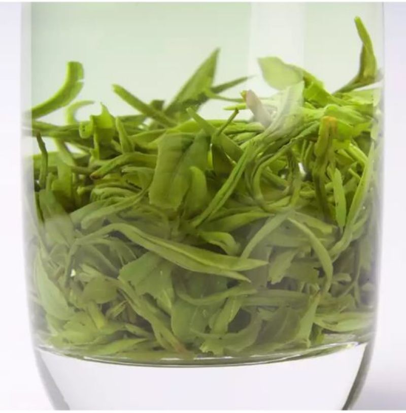 绿茶一级
