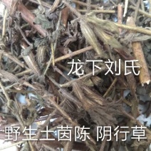 茵陈土茵陈阴行草野生阴行草装散退黄草药八角倒挂金钟