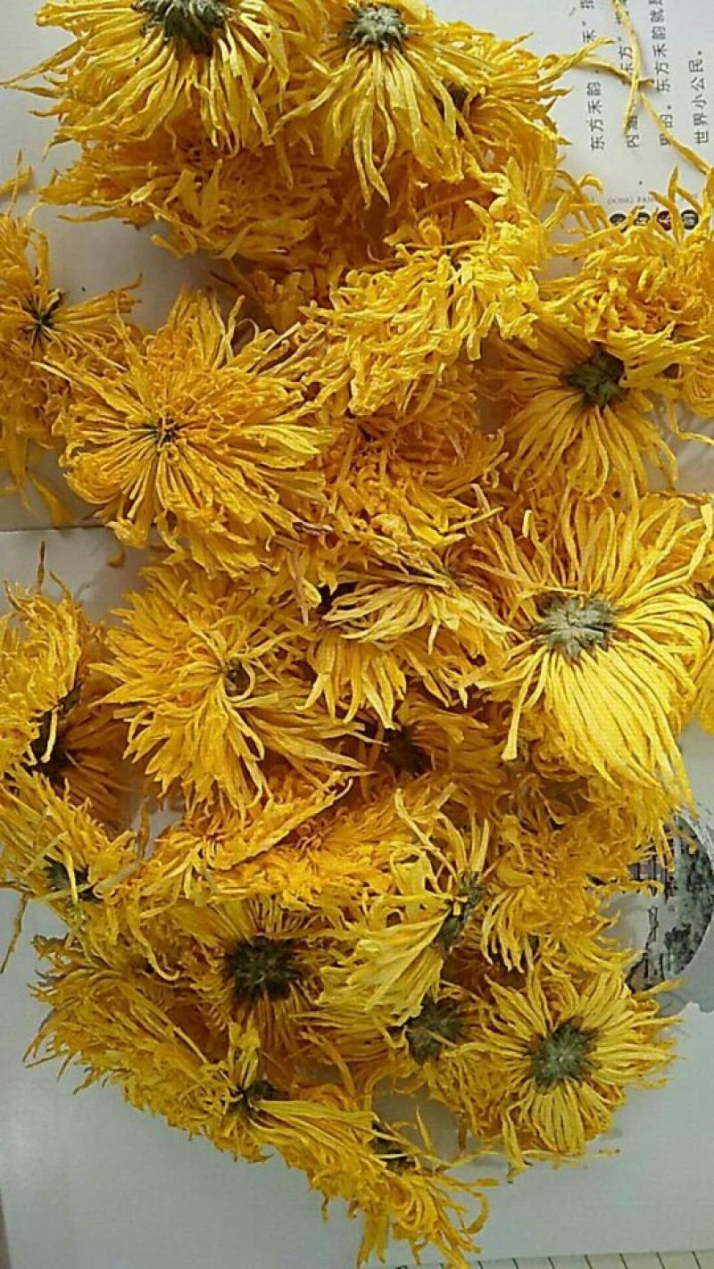 上等精品包装金丝皇菊黄菊去火必备呦
