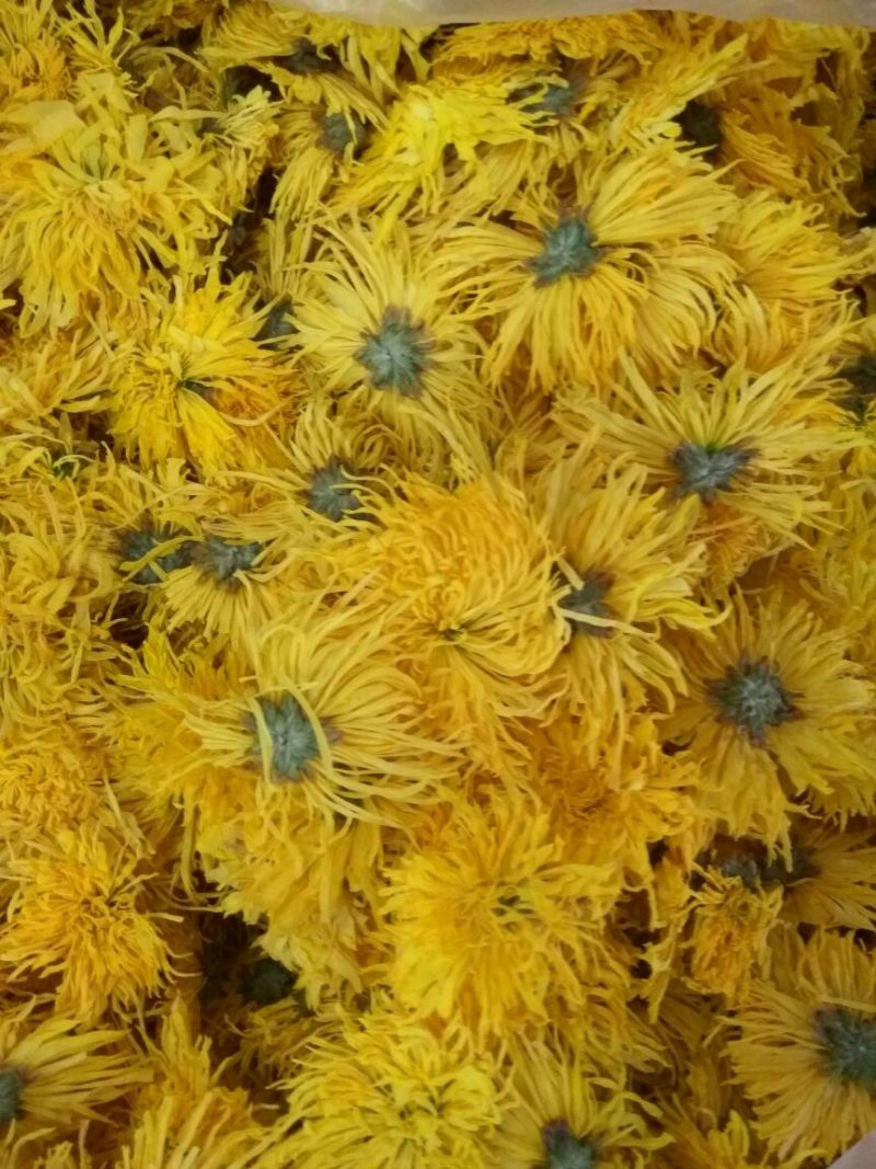 上等精品包装金丝皇菊黄菊去火必备呦