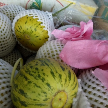 花蕾1号甜瓜精品0.5斤以上