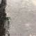 黑鱼鱼苗人工养殖
