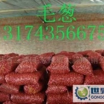红葱头3~8厘米