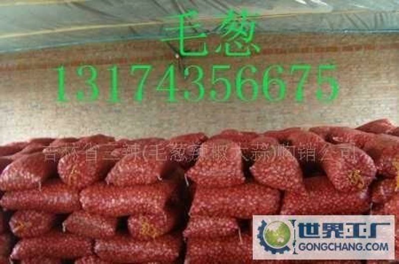 红葱头3~8厘米