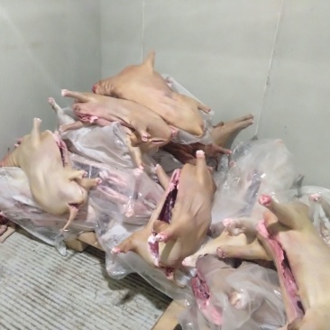 白山羊肉山羊肉否不带骨