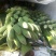 西贡蕉八成熟