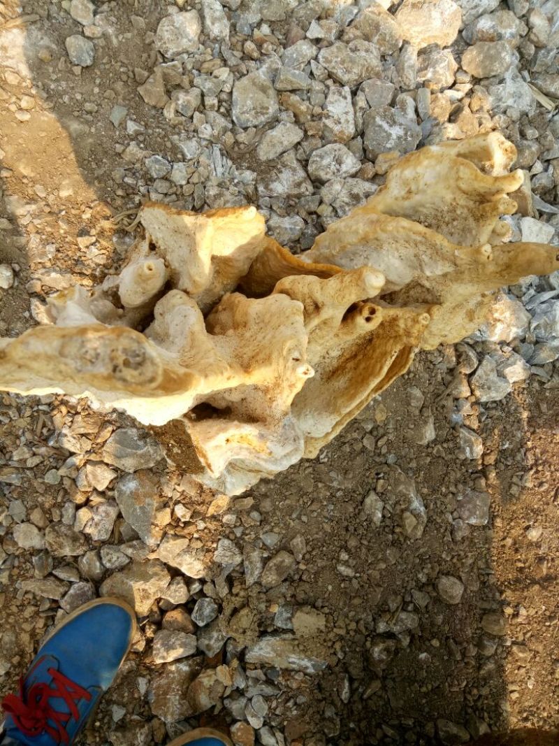 毛石装饰品