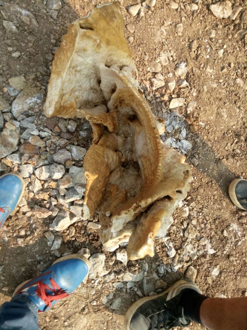毛石装饰品