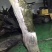 原木工艺雕刻