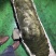 原木工艺雕刻