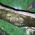原木工艺雕刻