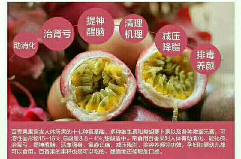 紫香一号紫果80~90g